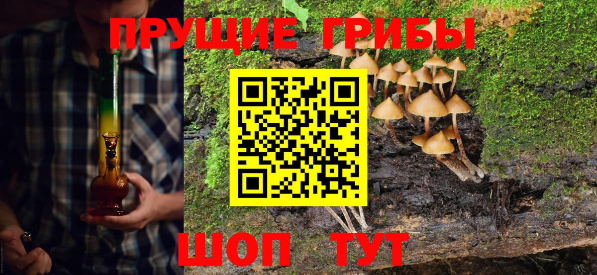 Псилоцибиновые грибы прущие грибы  что такое   Луга  Вход с VPN 